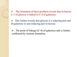  The formation of these products reveals that in lactose
C-1 of glucose is linked to C-4 of galactose.
 This further reveals that glucose is a reducing part and
D-galactose in non-reducing part in lactose.
 The point of linkage (C-4) of galactose unit is further
confirmed by osazone formation.
 