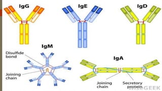 Strucure, functions and genetics of immunoglobulins | PPTX