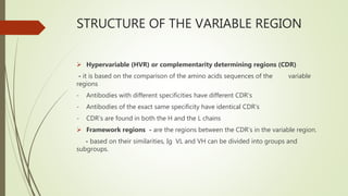 Strucure, functions and genetics of immunoglobulins | PPTX