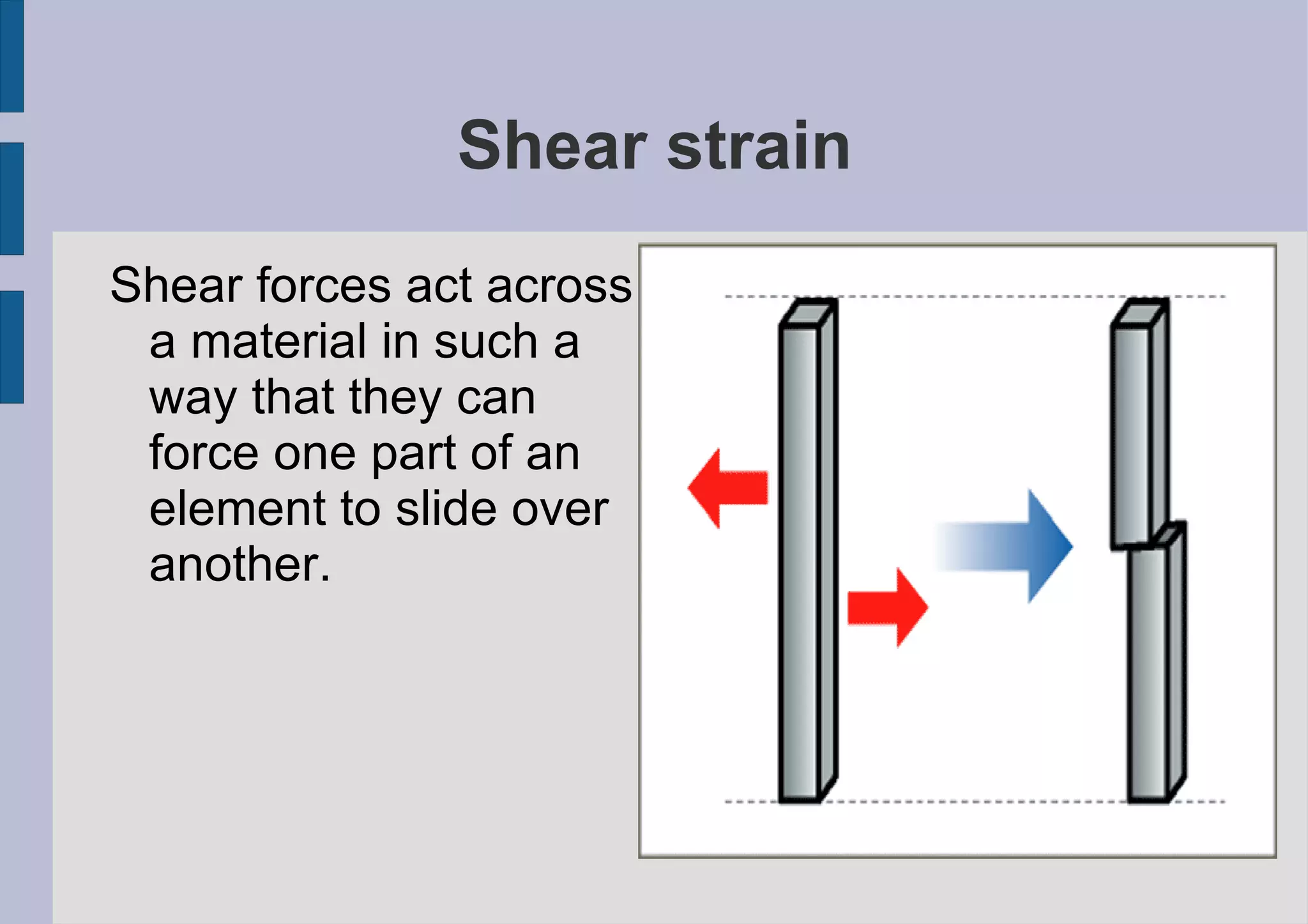 Natural shell structures: Shellfish 
