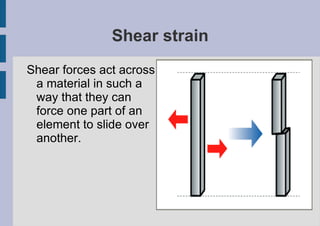 Natural shell structures: Shellfish 