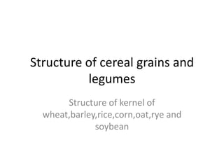 Structure of cereal grains and
          legumes
       Structure of kernel of
  wheat,barley,rice,corn,oat,rye and
              soybean
 