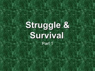 Struggle & Survival   Part 1 