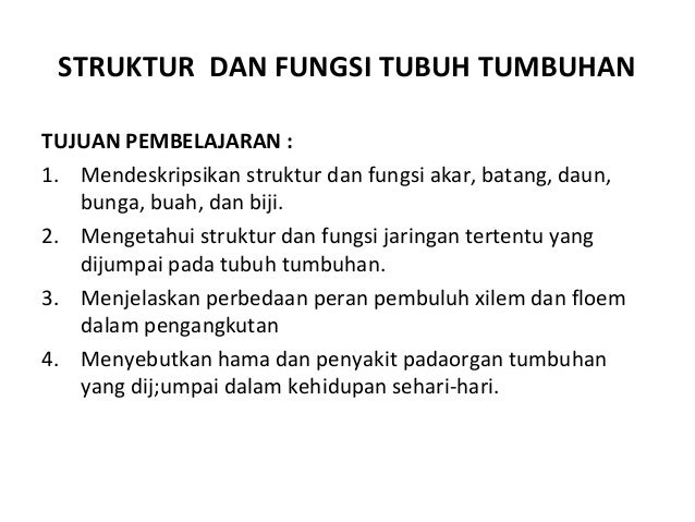  Struktur  dan  fungsi  batang