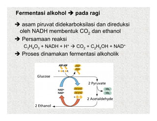 Fermentasi alkohol     pada ragi

  asam piruvat did k b k il i d di d k i
        i      didekarboksilasi dan direduksi
 oleh NADH membentuk CO2 dan ethanol
  Persamaan reaksi
  P              k i
  C3H4O3 + NADH + H+   CO2 + C2H5OH + NAD+
  Proses dinamakan fermentasi alkoholik
 
