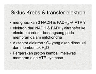 Siklus Krebs & transfer elektron
• menghasilkan 3 NADH & FADH2         ATP ?
• elektron dari NADH & FADH2 ditransfer ke
  electron carrier – berlangsung pada
  membran dalam mitokondria
• Ak
  Akseptor elektron : O2 yang akan di d k i
         t   l kt               k direduksi
  dan membentuk H2O
• Pergerakan proton kembali melewati
  membran oleh ATP-synthase
 