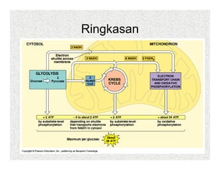 Ringkasan
 