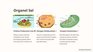 Struktur-dan-Fungsi-Sel . biomedik sel biologi | PPT
