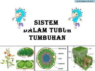 By Lili Andajani, S.Pd, M.Pd




  SISTEM
DALAM TUBUH
 TUMBUHAN
 