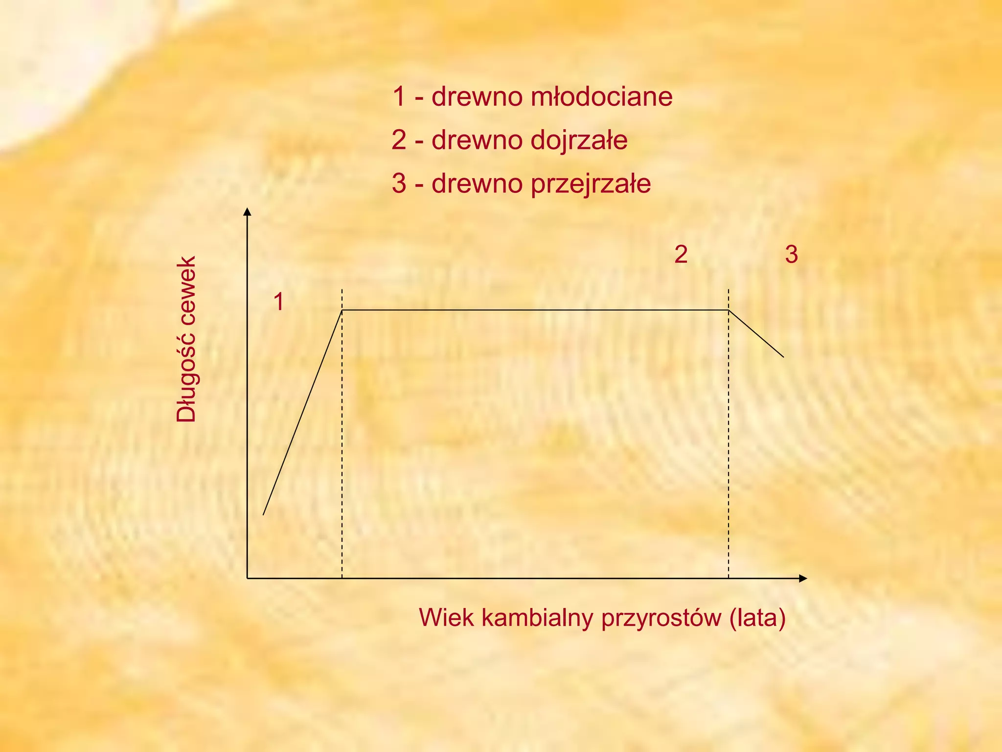Struktura drewna.pdf