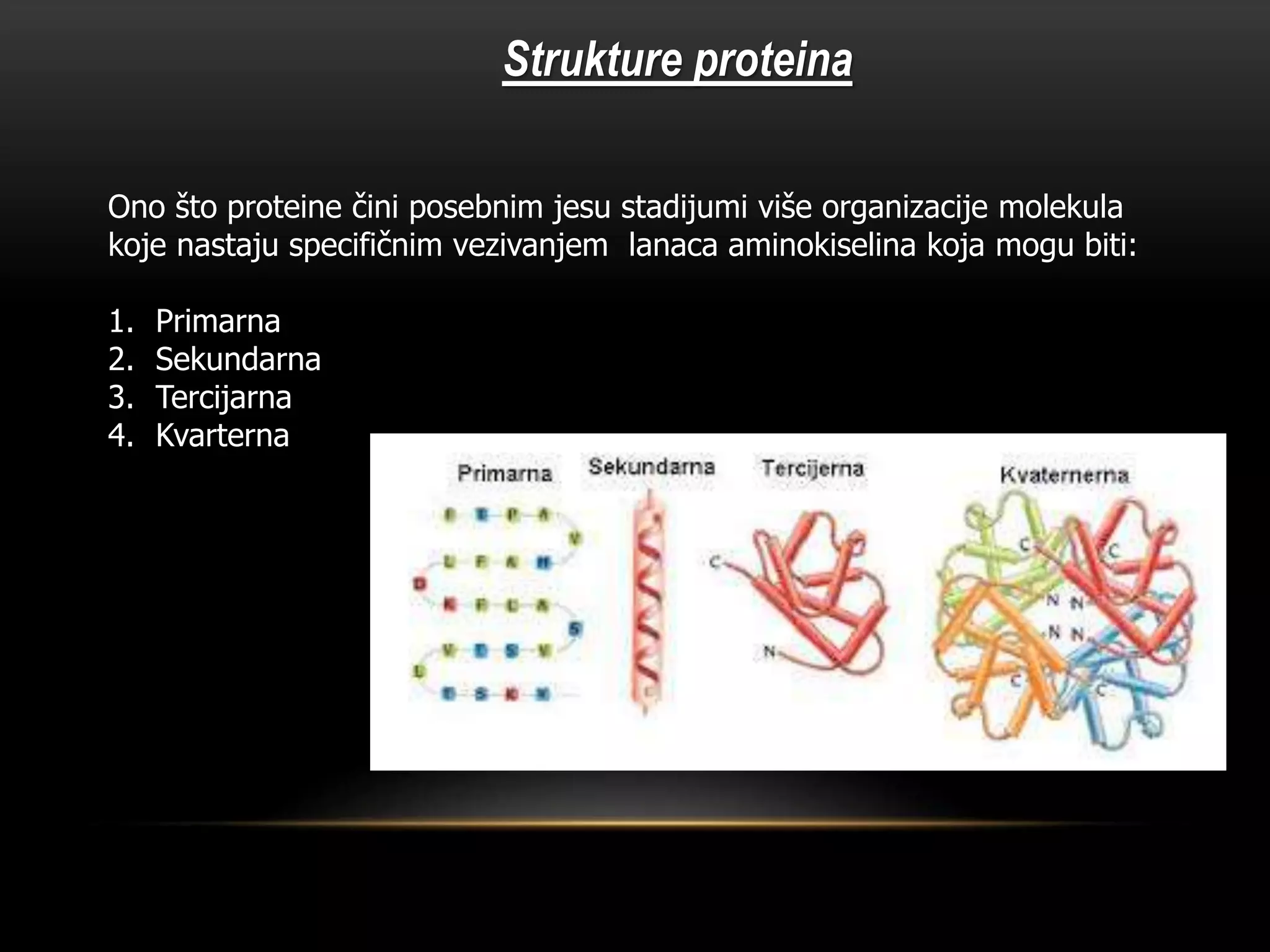 Struktura Proteina PPTX struktura-proteina-pptx