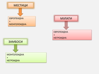 МЕСТИЦИ
МУЛАТИ
ЗАМБОСИ
ЕВРОПЕИДНА
+
МОНГОЛОИДНА
ЕВРОПЕИДНА
+
НЕГРОИДНА
МОНГОЛОИДНА
+
НЕГРОИДНА
 