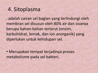 4. Sitoplasma
: adalah cairan sel bagian yang terlindungi oleh

membran sel disusun oleh 80% air dan sisanya
berupa bahan-bahan terlarut (enzim,
karbohidrat, lemak, dan ion anorganik) yang
diperlukan untuk kehidupan sel.

• Merupakan tempat terjadinya proses
metabolisme pada sel bakteri.

 