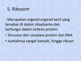 5. Ribosom
: Merupakan organel-organel kecil yang
tersebar di dalam sitoplasma dan
berfungsi dalam sintesis protein
• Tersusun dari senyawa protein dan RNA
• Jumlahnya sangat banyak, hingga ribuan

 