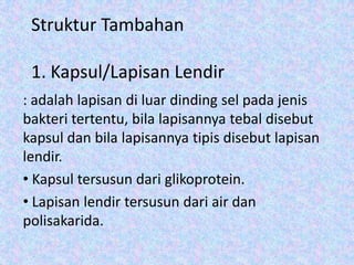 Struktur Tambahan
1. Kapsul/Lapisan Lendir
: adalah lapisan di luar dinding sel pada jenis
bakteri tertentu, bila lapisannya tebal disebut
kapsul dan bila lapisannya tipis disebut lapisan
lendir.
• Kapsul tersusun dari glikoprotein.
• Lapisan lendir tersusun dari air dan
polisakarida.

 