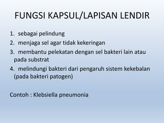 FUNGSI KAPSUL/LAPISAN LENDIR
1. sebagai pelindung
2. menjaga sel agar tidak kekeringan
3. membantu pelekatan dengan sel bakteri lain atau
pada substrat
4. melindungi bakteri dari pengaruh sistem kekebalan
(pada bakteri patogen)
Contoh : Klebsiella pneumonia

 
