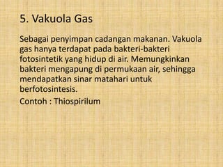 5. Vakuola Gas
Sebagai penyimpan cadangan makanan. Vakuola
gas hanya terdapat pada bakteri-bakteri
fotosintetik yang hidup di air. Memungkinkan
bakteri mengapung di permukaan air, sehingga
mendapatkan sinar matahari untuk
berfotosintesis.
Contoh : Thiospirilum

 