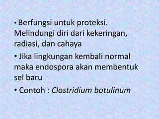 • Berfungsi untuk proteksi.

Melindungi diri dari kekeringan,
radiasi, dan cahaya
• Jika lingkungan kembali normal
maka endospora akan membentuk
sel baru
• Contoh : Clostridium botulinum

 
