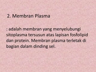 2. Membran Plasma
: adalah membran yang menyelubungi
sitoplasma tersusun atas lapisan fosfolipid
dan protein. Membran plasma terletak di
bagian dalam dinding sel.

 