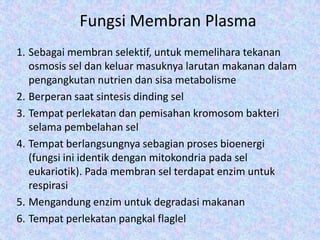 Fungsi Membran Plasma
1. Sebagai membran selektif, untuk memelihara tekanan
osmosis sel dan keluar masuknya larutan makanan dalam
pengangkutan nutrien dan sisa metabolisme
2. Berperan saat sintesis dinding sel
3. Tempat perlekatan dan pemisahan kromosom bakteri
selama pembelahan sel
4. Tempat berlangsungnya sebagian proses bioenergi
(fungsi ini identik dengan mitokondria pada sel
eukariotik). Pada membran sel terdapat enzim untuk
respirasi
5. Mengandung enzim untuk degradasi makanan
6. Tempat perlekatan pangkal flaglel

 