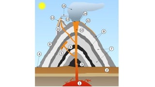 Comprehensive Overview of Earth's Landforms, Volcanic Types, and Soil ...