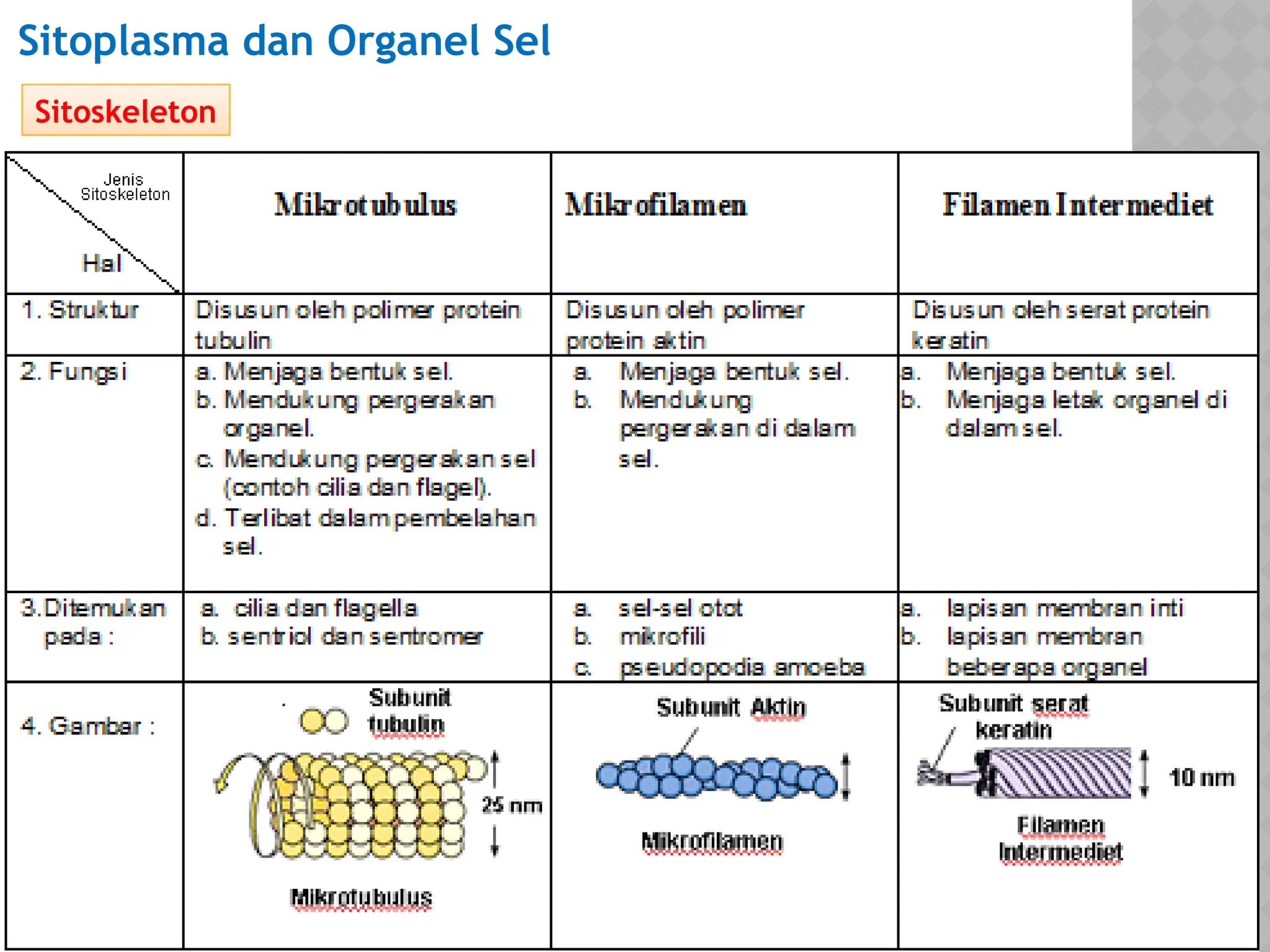 struktur-dan-fungsi-bagian-bagian-sel-part-2-pptx