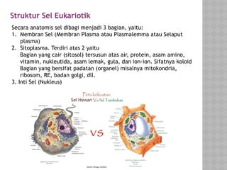 STRUKTUR DAN FUNGSI BAGIAN-BAGIAN SEL - Part 2.pptx