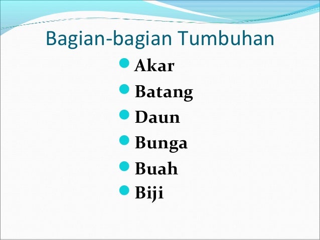 Struktur dan fungsi bagian tumbuhan SD kelas 4