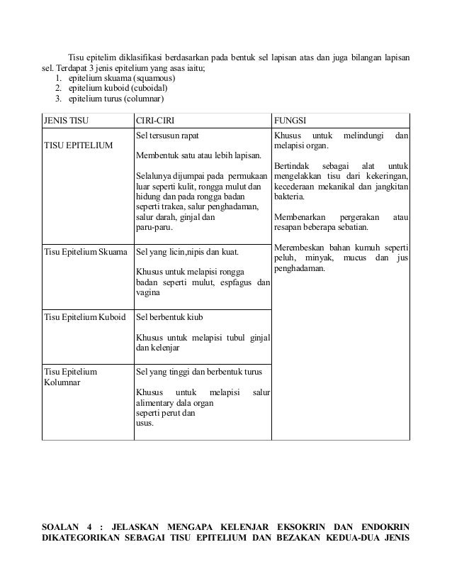 Struktur dan fungsi (biologi)