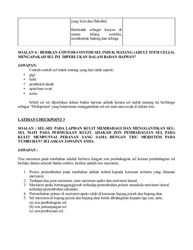 Struktur dan fungsi (biologi)