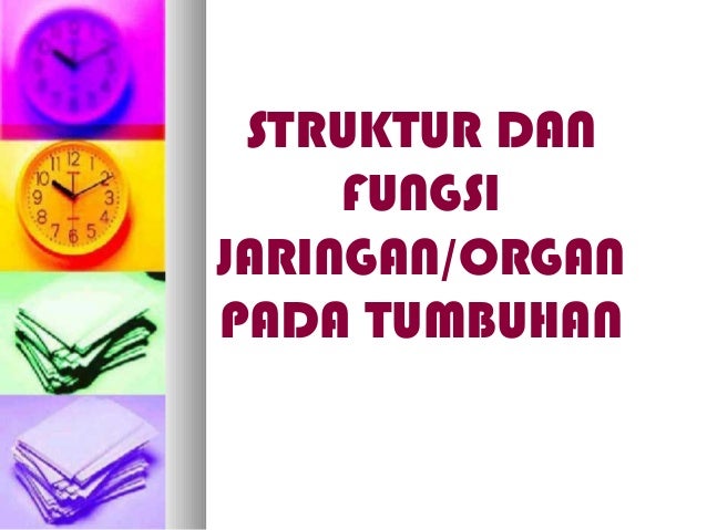 Struktur Dan Fungsi Jaringan