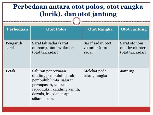 Bab 3 Struktur dan Fungsi Jaringan Hewan