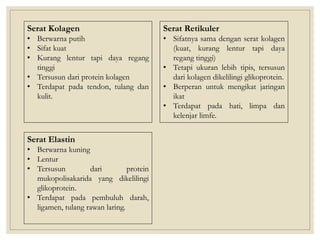 Serat Kolagen
• Berwarna putih
• Sifat kuat
• Kurang lentur tapi daya regang
tinggi
• Tersusun dari protein kolagen
• Terdapat pada tendon, tulang dan
kulit.
Serat Elastin
• Berwarna kuning
• Lentur
• Tersusun dari protein
mukopolisakarida yang dikelilingi
glikoprotein.
• Terdapat pada pembuluh darah,
ligamen, tulang rawan laring.
Serat Retikuler
• Sifatnya sama dengan serat kolagen
(kuat, kurang lentur tapi daya
regang tinggi)
• Tetapi ukuran lebih tipis, tersusun
dari kolagen dikelilingi glikoprotein.
• Berperan untuk mengikat jaringan
ikat
• Terdapat pada hati, limpa dan
kelenjar limfe.
 