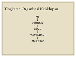 Tingkatan Organisasi Kehidupan
SEL
JARINGAN
ORGAN
SISTEM ORGAN
ORGANISME
 