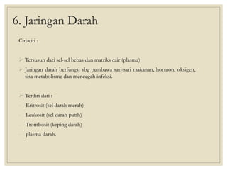 6. Jaringan Darah
Ciri-ciri :
 Tersusun dari sel-sel bebas dan matriks cair (plasma)
 Jaringan darah berfungsi sbg pembawa sari-sari makanan, hormon, oksigen,
sisa metabolisme dan mencegah infeksi.
 Terdiri dari :
- Eritrosit (sel darah merah)
- Leukosit (sel darah putih)
- Trombosit (keping darah)
- plasma darah.
 