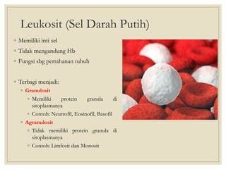 Leukosit (Sel Darah Putih)
◦ Memiliki inti sel
◦ Tidak mengandung Hb
◦ Fungsi sbg pertahanan tubuh
◦ Terbagi menjadi:
◦ Granulosit
◦ Memiliki protein granula di
sitoplasmanya
◦ Contoh: Neutrofil, Eosinofil, Basofil
◦ Agranulosit
◦ Tidak memiliki protein granula di
sitoplasmanya
◦ Contoh: Limfosit dan Monosit
 