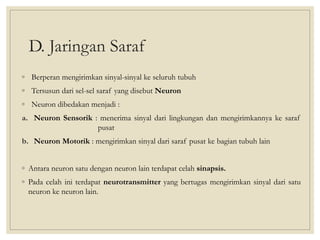 D. Jaringan Saraf
◦ Berperan mengirimkan sinyal-sinyal ke seluruh tubuh
◦ Tersusun dari sel-sel saraf yang disebut Neuron
◦ Neuron dibedakan menjadi :
a. Neuron Sensorik : menerima sinyal dari lingkungan dan mengirimkannya ke saraf
pusat
b. Neuron Motorik : mengirimkan sinyal dari saraf pusat ke bagian tubuh lain
◦ Antara neuron satu dengan neuron lain terdapat celah sinapsis.
◦ Pada celah ini terdapat neurotransmitter yang bertugas mengirimkan sinyal dari satu
neuron ke neuron lain.
 
