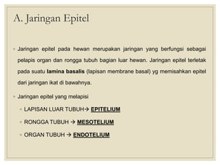 A. Jaringan Epitel
◦ Jaringan epitel pada hewan merupakan jaringan yang berfungsi sebagai
pelapis organ dan rongga tubuh bagian luar hewan. Jaringan epitel terletak
pada suatu lamina basalis (lapisan membrane basal) yg memisahkan epitel
dari jaringan ikat di bawahnya.
◦ Jaringan epitel yang melapisi
◦ LAPISAN LUAR TUBUH EPITELIUM
◦ RONGGA TUBUH  MESOTELIUM
◦ ORGAN TUBUH  ENDOTELIUM
 