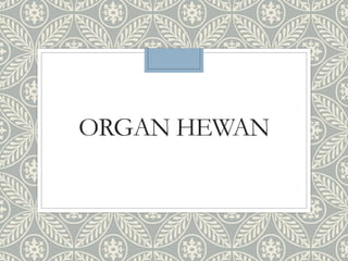 ORGAN HEWAN
 