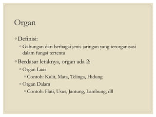Organ
◦ Definisi:
◦ Gabungan dari berbagai jenis jaringan yang terorganisasi
dalam fungsi tertentu
◦ Berdasar letaknya, organ ada 2:
◦ Organ Luar
◦ Contoh: Kulit, Mata, Telinga, Hidung
◦ Organ Dalam
◦ Contoh: Hati, Usus, Jantung, Lambung, dll
 