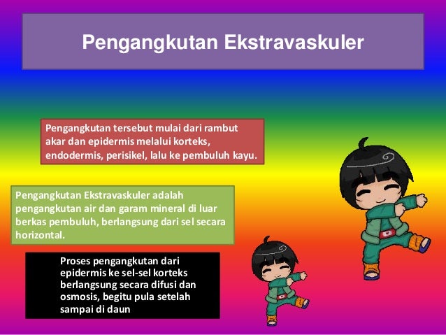 Struktur dan fungsi jaringan tumbuhan