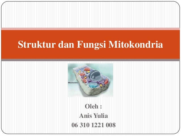 Struktur Dan Fungsi Mitokondria