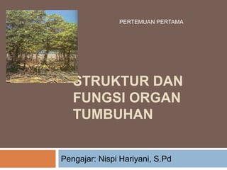STRUKTUR DAN
FUNGSI ORGAN
TUMBUHAN
Pengajar: Nispi Hariyani, S.Pd
PERTEMUAN PERTAMA
 