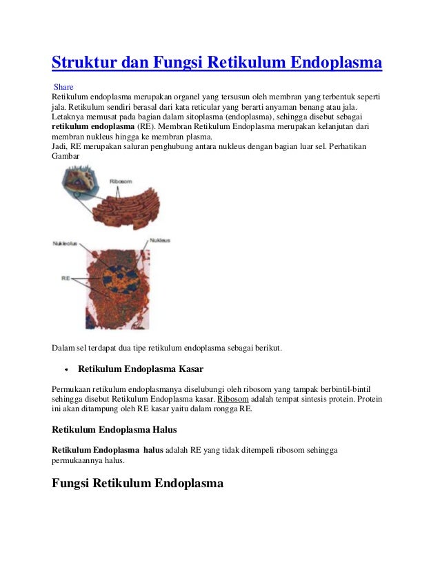 Struktur dan fungsi  retikulum  endoplasma  AKPER PEMKAB MUNA