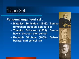 Teori SelTeori Sel
Pengembangan eori sel :
– Matthias Schleiden (1838): Semua
tumbuhan disusun oleh sel-sel
– Theodor Schwann (1839): Semua
hewan disusun oleh sel-sel
– Rudolph Virchow (1855): Sel-sel
berasal dari sel-sel lain
 