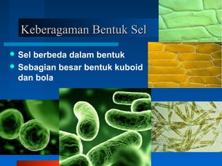 Keberagaman Bentuk SelKeberagaman Bentuk Sel
 Sel berbeda dalam bentuk
 Sebagian besar bentuk kuboid
dan bola
 