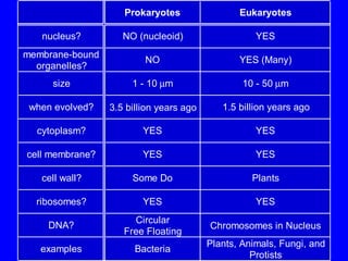 Prokaryotes Eukaryotes
nucleus? NO (nucleoid) YES
membrane-bound
organelles?
NO YES (Many)
size 1 - 10 µm 10 - 50 µm
when evolved? 3.5 billion years ago 1.5 billion years ago
cytoplasm? YES YES
cell membrane? YES YES
cell wall? Some Do Plants
ribosomes? YES YES
DNA?
Circular
Free Floating
Chromosomes in Nucleus
examples Bacteria
Plants, Animals, Fungi, and
Protists
 