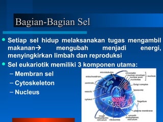 Bagian-Bagian SelBagian-Bagian Sel
 Setiap sel hidup melaksanakan tugas mengambil
makanan mengubah menjadi energi,
menyingkirkan limbah dan reproduksi
 Sel eukariotik memiliki 3 komponen utama:
– Membran sel
– Cytoskeleton
– Nucleus
 