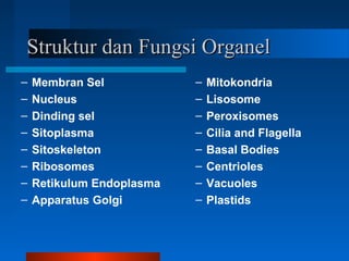 Struktur dan Fungsi OrganelStruktur dan Fungsi Organel
– Membran Sel
– Nucleus
– Dinding sel
– Sitoplasma
– Sitoskeleton
– Ribosomes
– Retikulum Endoplasma
– Apparatus Golgi
– Mitokondria
– Lisosome
– Peroxisomes
– Cilia and Flagella
– Basal Bodies
– Centrioles
– Vacuoles
– Plastids
 