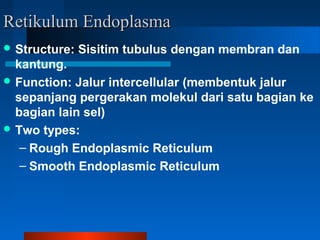 Retikulum EndoplasmaRetikulum Endoplasma
 Structure: Sisitim tubulus dengan membran dan
kantung.
 Function: Jalur intercellular (membentuk jalur
sepanjang pergerakan molekul dari satu bagian ke
bagian lain sel)
 Two types:
– Rough Endoplasmic Reticulum
– Smooth Endoplasmic Reticulum
 